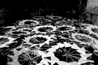 A day in Jour et Nuit Culture 2