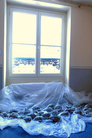Rivage dans la chambre