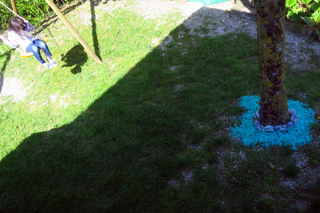 My swing and my blue#1