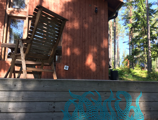 Série "Voyage avec Kraken" 
lieu: forêt d'Eurajoki, Finlande
été 2017